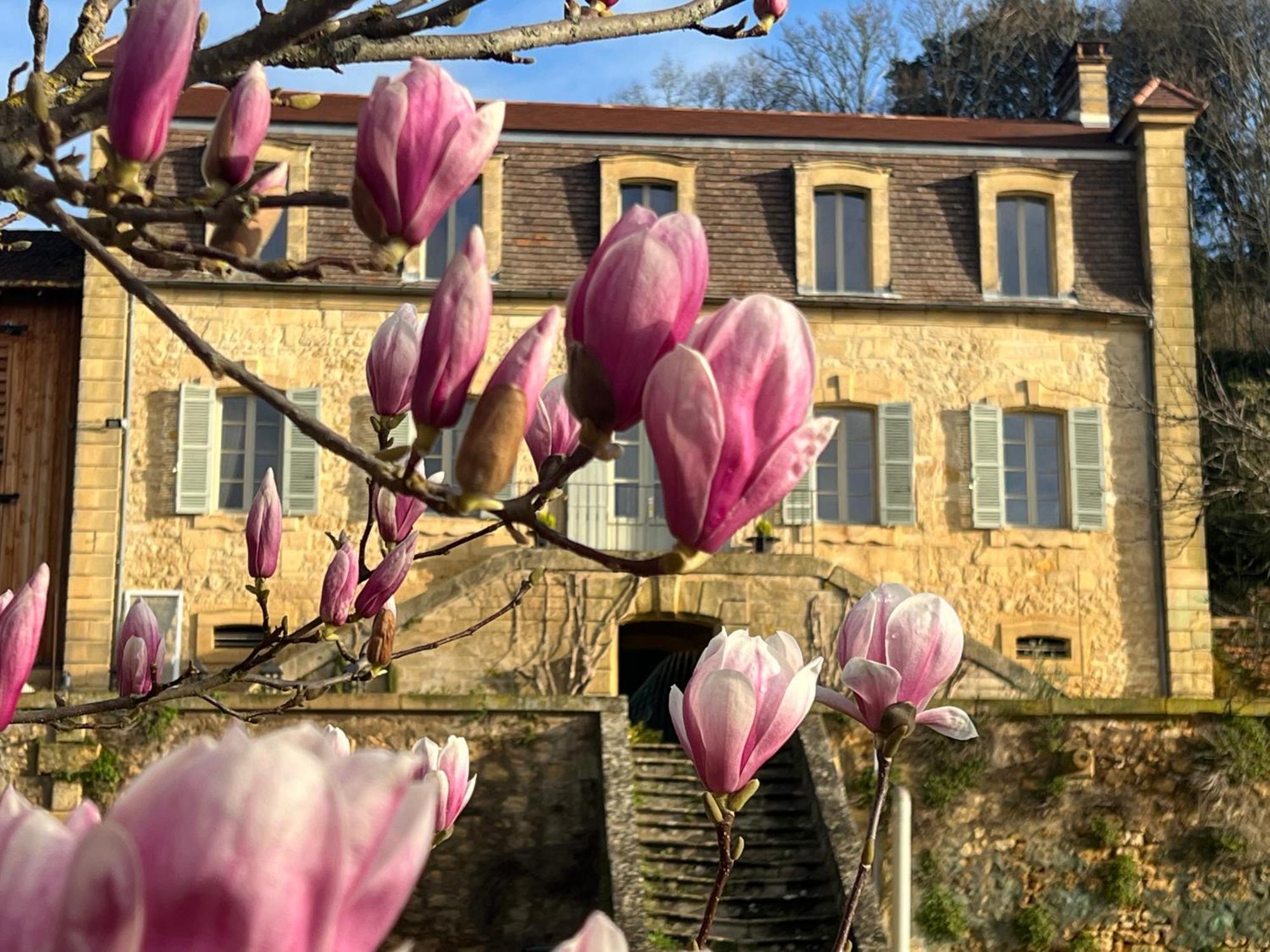 Le Clos De L'Ane Dentelle Vezac  Exterior photo