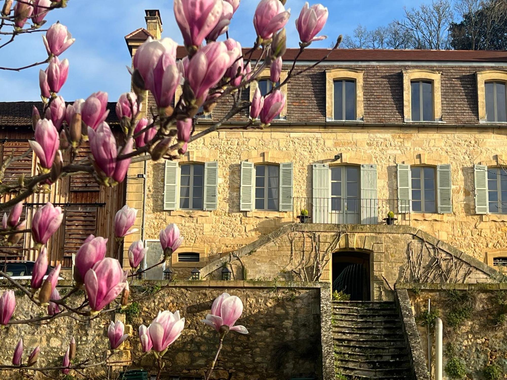 Le Clos De L'Ane Dentelle Vezac  Exterior photo